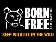 born free foundation